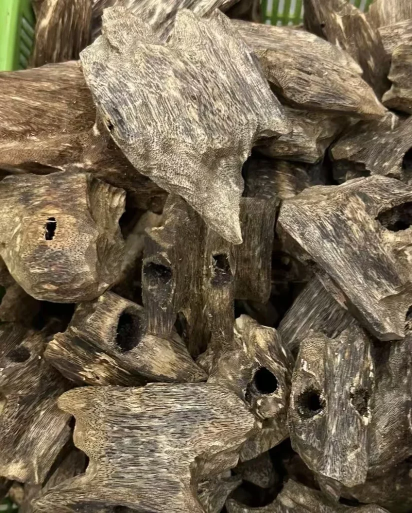 Agarwood